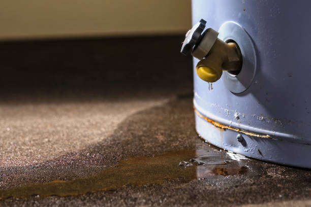 Best Mold removal after water damage  in Sunrise Beach Village, TX