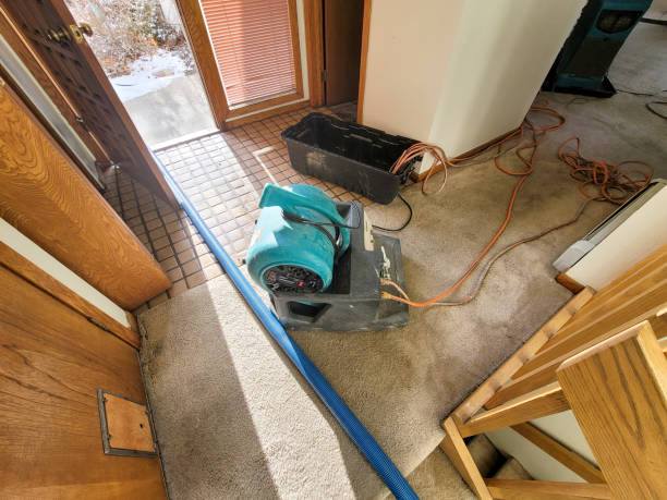 Best Flood restoration services  in Sunrise Beach Village, TX