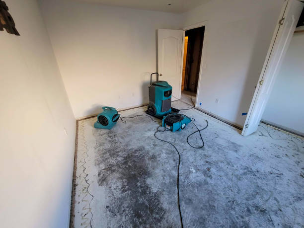 Best Fire Damage Restoration  in Sunrise Beach Village, TX