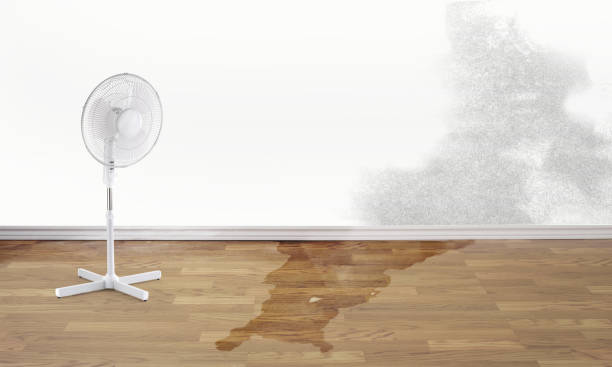 Best Emergency water damage restoration  in Sunrise Beach Village, TX