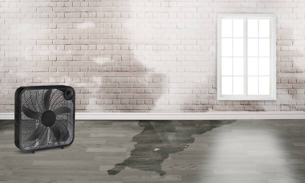 Best 24/7 water damage repair  in Sunrise Beach Village, TX